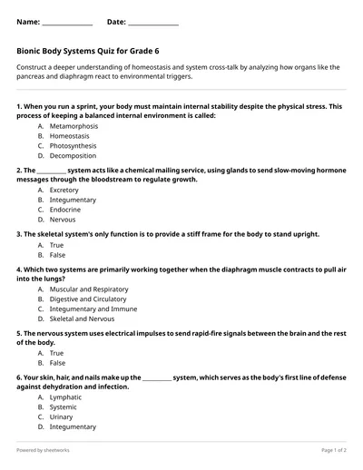 Human Anatomy & Physiology Worksheets | Sheetworks