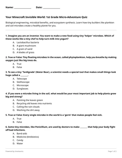 Your Minecraft Invisible World: 1st Grade Micro-Adventure Quiz - Free ...